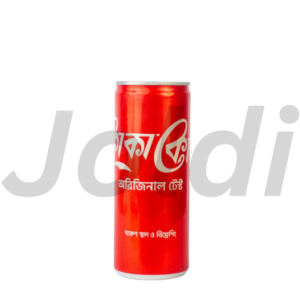 Coca-Cola Can 250 Ml